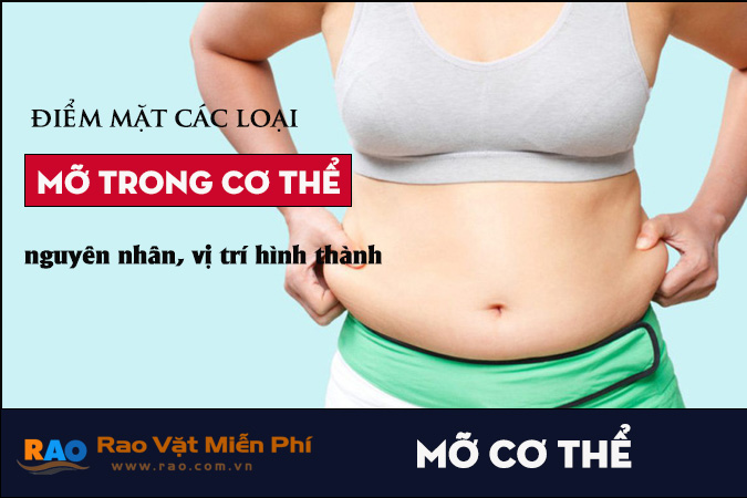 Các loại mỡ trong cơ thể