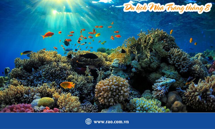 Du lịch Nha Trang tháng 8 