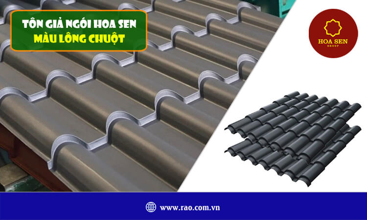 Tôn giả ngói Hoa Sen màu lông chuột